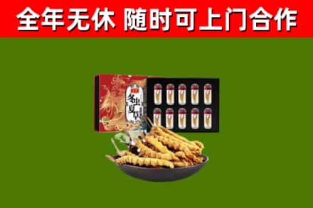 山亭回收冬虫夏草价格