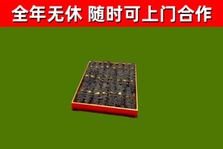 山亭回收海参